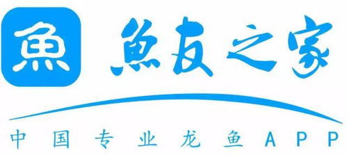 長城專訪｜魚友之家 多形態(tài)展示背后的唯一服務(wù)宗旨——數(shù)字文化創(chuàng)意內(nèi)容應(yīng)用服務(wù)的創(chuàng)新實(shí)踐