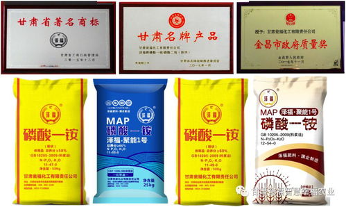 甘肅甕福一銨產(chǎn)銷兩旺 筑起高質(zhì)量發(fā)展亮麗風(fēng)景線